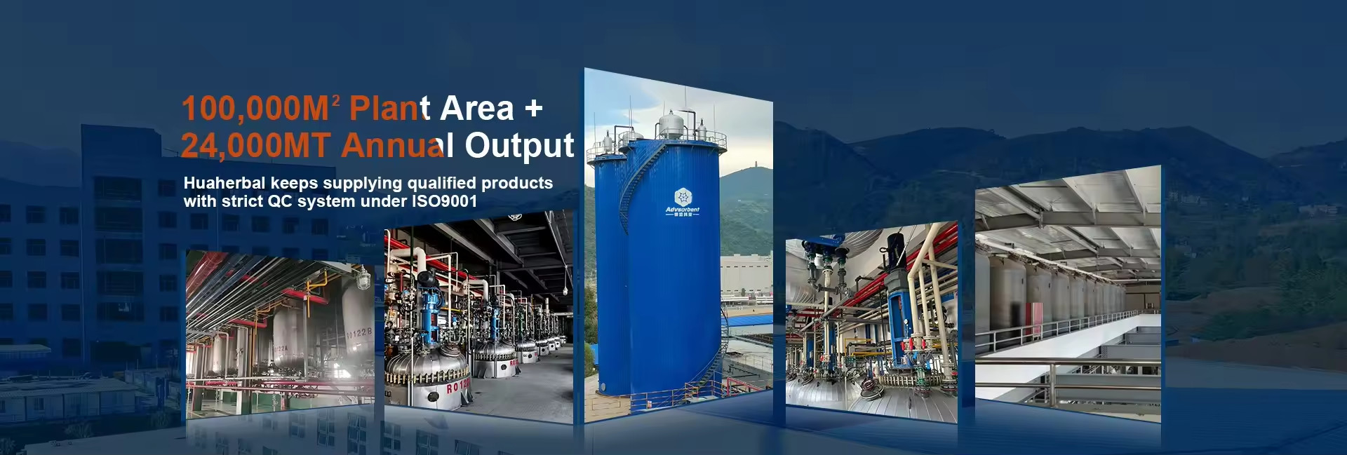 Anion Exchange Resin